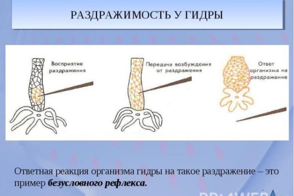 Доступ к сайту кракен